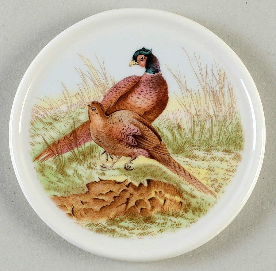 Woodland Coaster by Spode-1