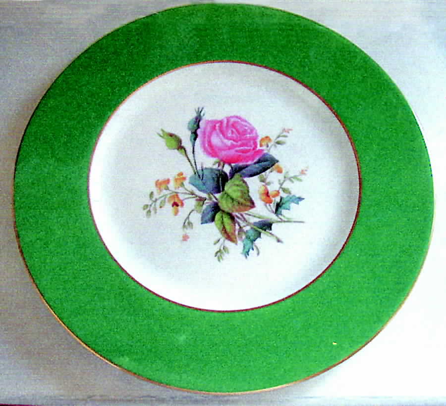 Y2776 Dinner Plate by Spode-1