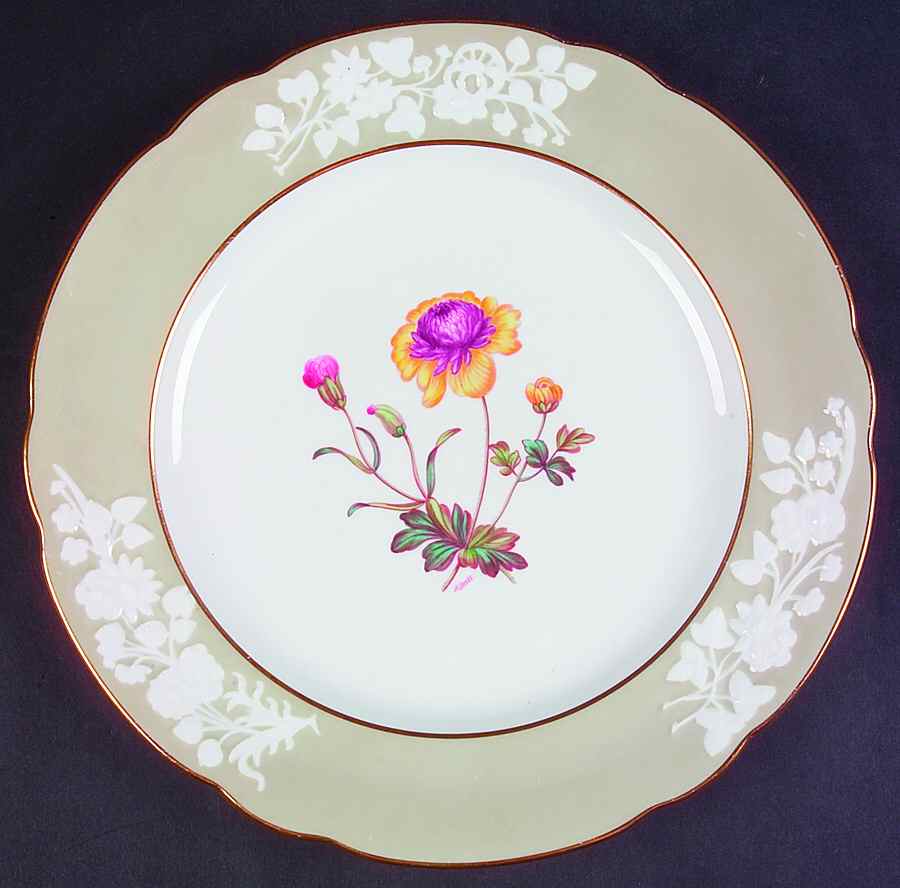 Y2855 Dinner Plate by Spode-1