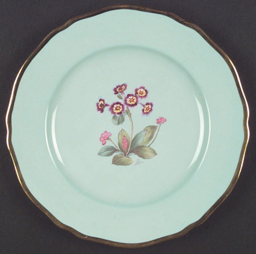 Y4593 Salad Plate by Spode-1