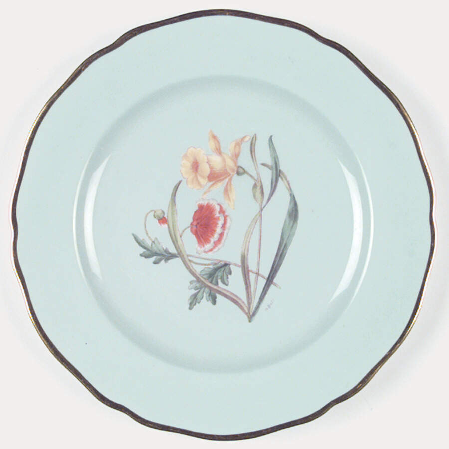 Y4593 Luncheon Plate by Spode-1