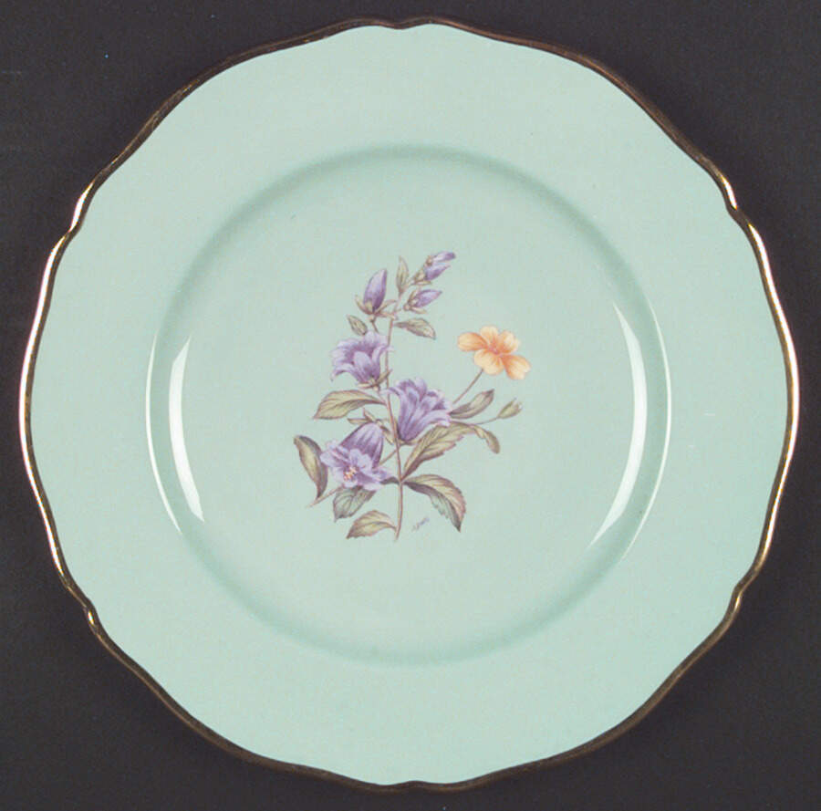 Y4593 Dinner Plate by Spode-1