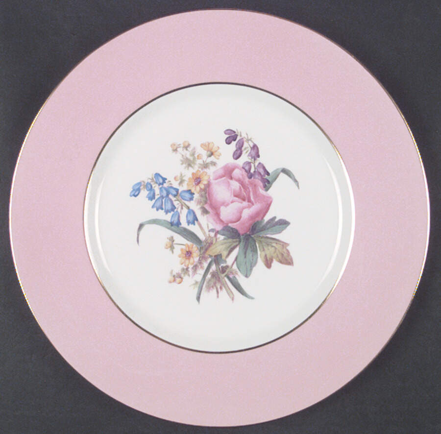 Y4625 Dinner Plate by Spode-1