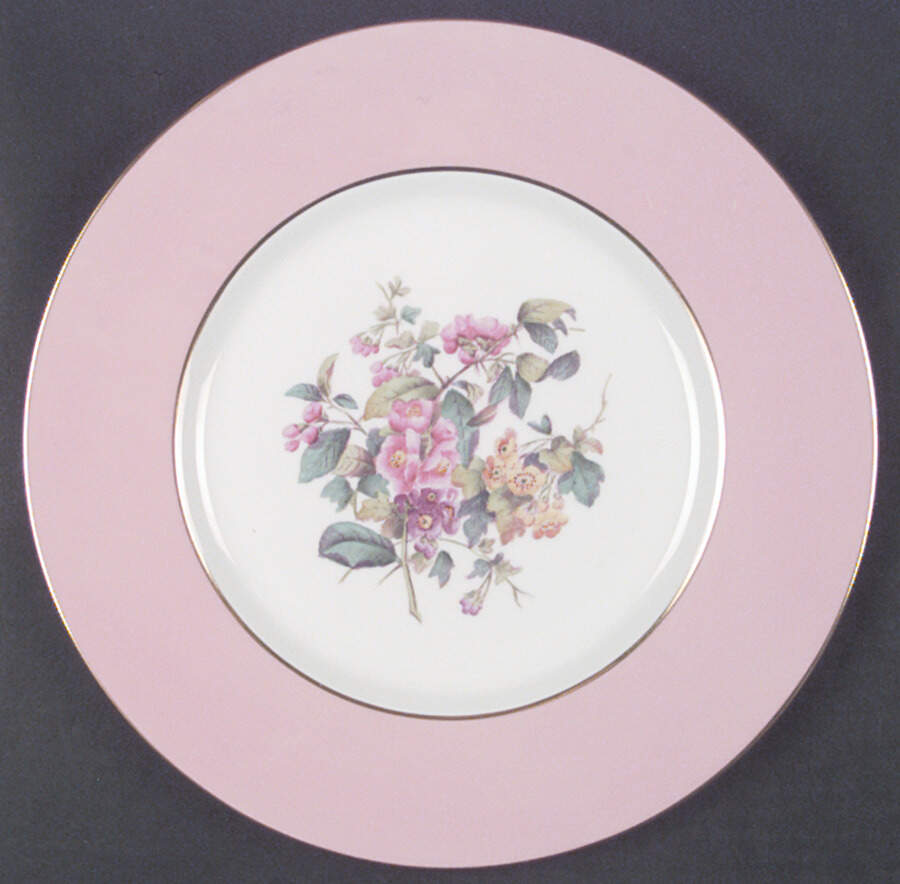 Y4625 Dinner Plate by Spode-1