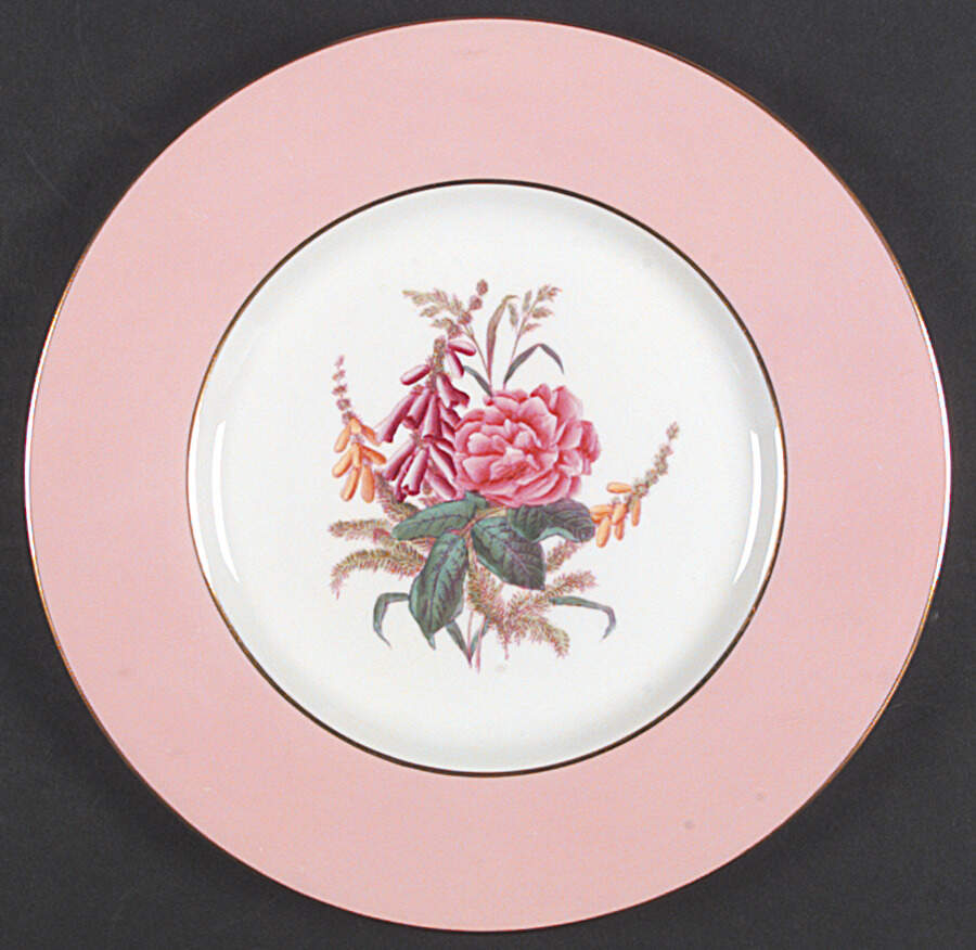 Y4625 Dinner Plate by Spode-1
