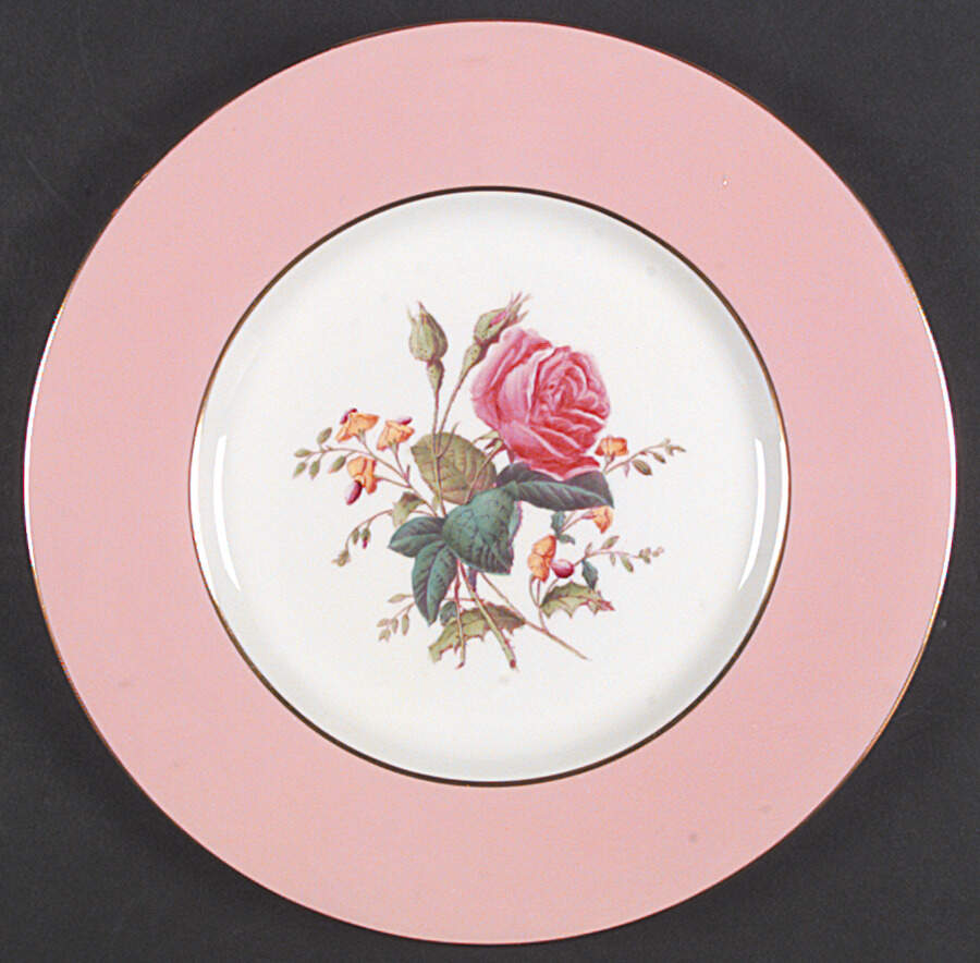 Y4625 Dinner Plate by Spode-1