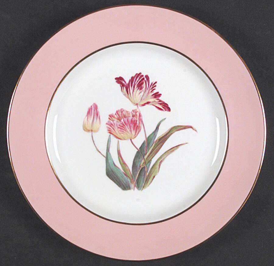 Y4625 Salad Plate by Spode-1