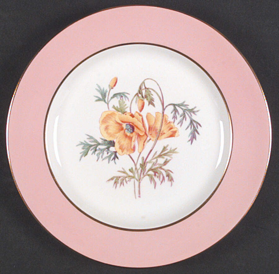 Y4625 Salad Plate by Spode-1