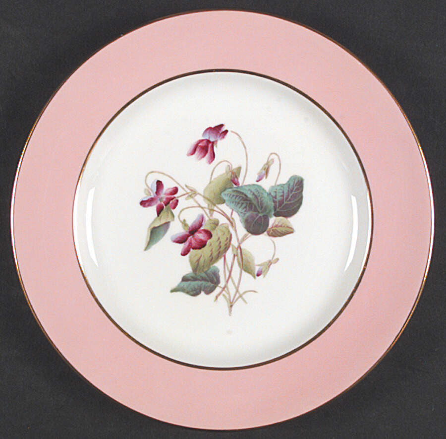 Y4625 Salad Plate by Spode-1