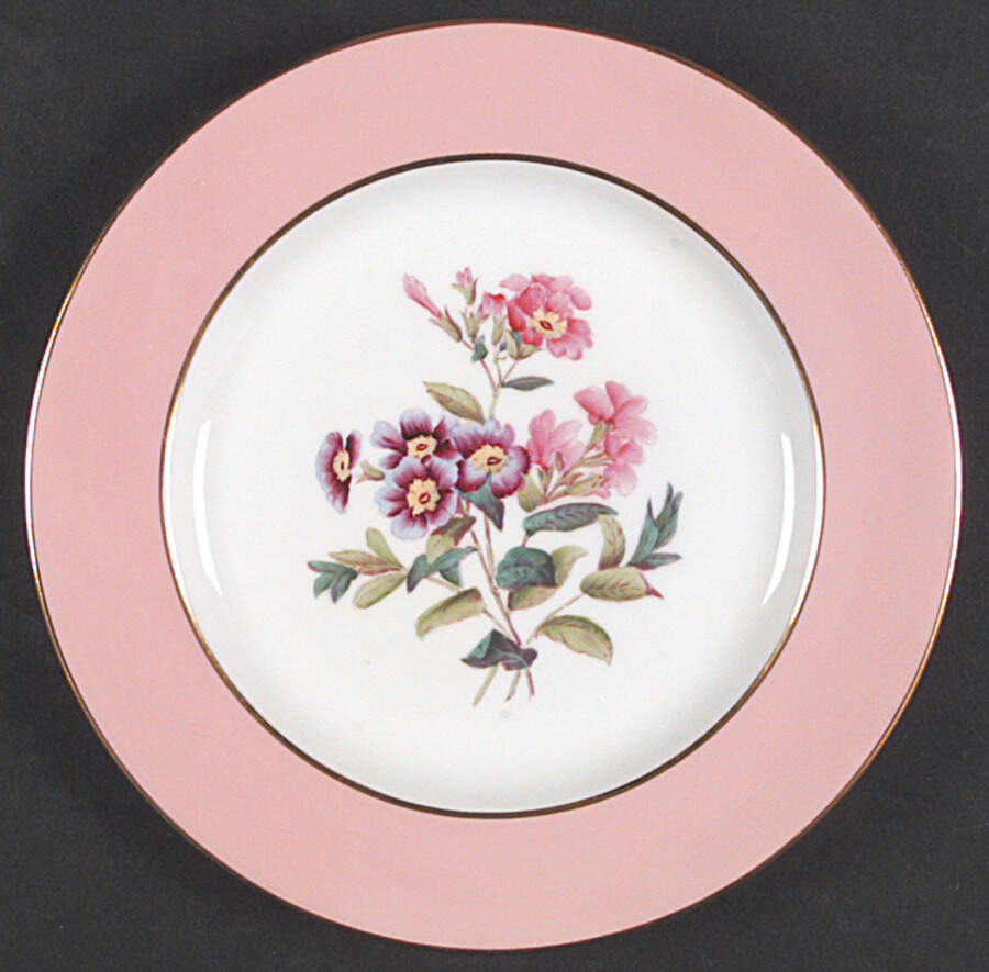 Y4625 Salad Plate by Spode-1