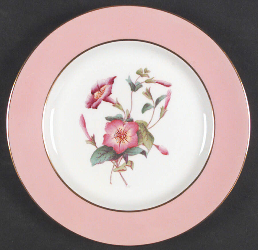 Y4625 Salad Plate by Spode-1