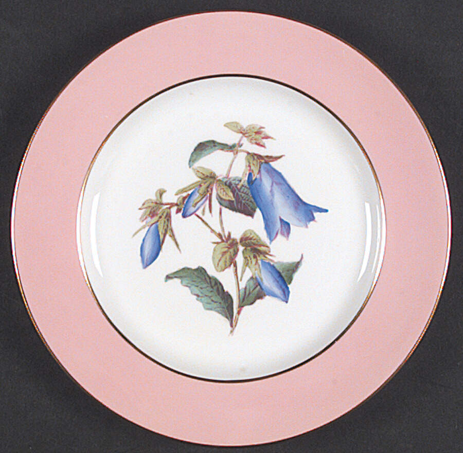 Y4625 Salad Plate by Spode-1