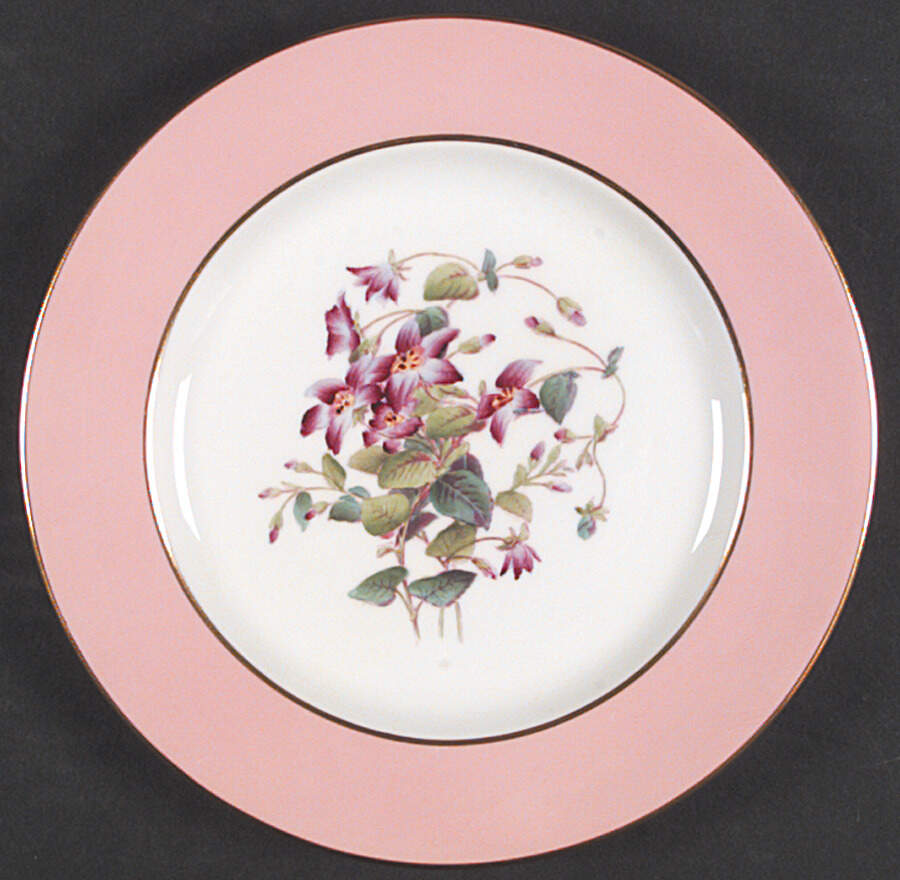 Y4625 Salad Plate by Spode-1