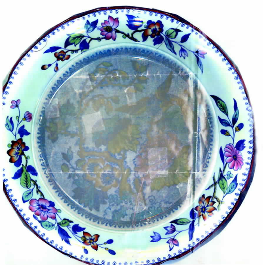 Y4856 Dinner Plate by Spode-1