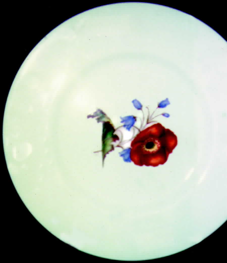Y5470 Dinner Plate by Spode-1