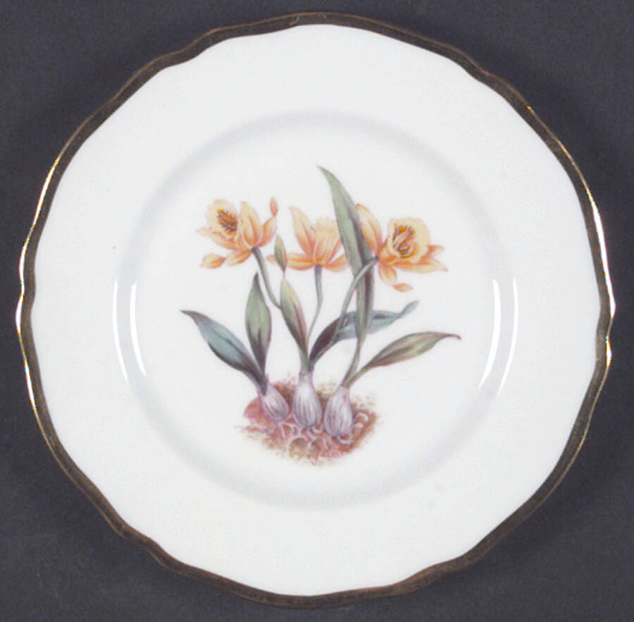 Y5552 (Scalloped) Bread & Butter Plate by Spode-1