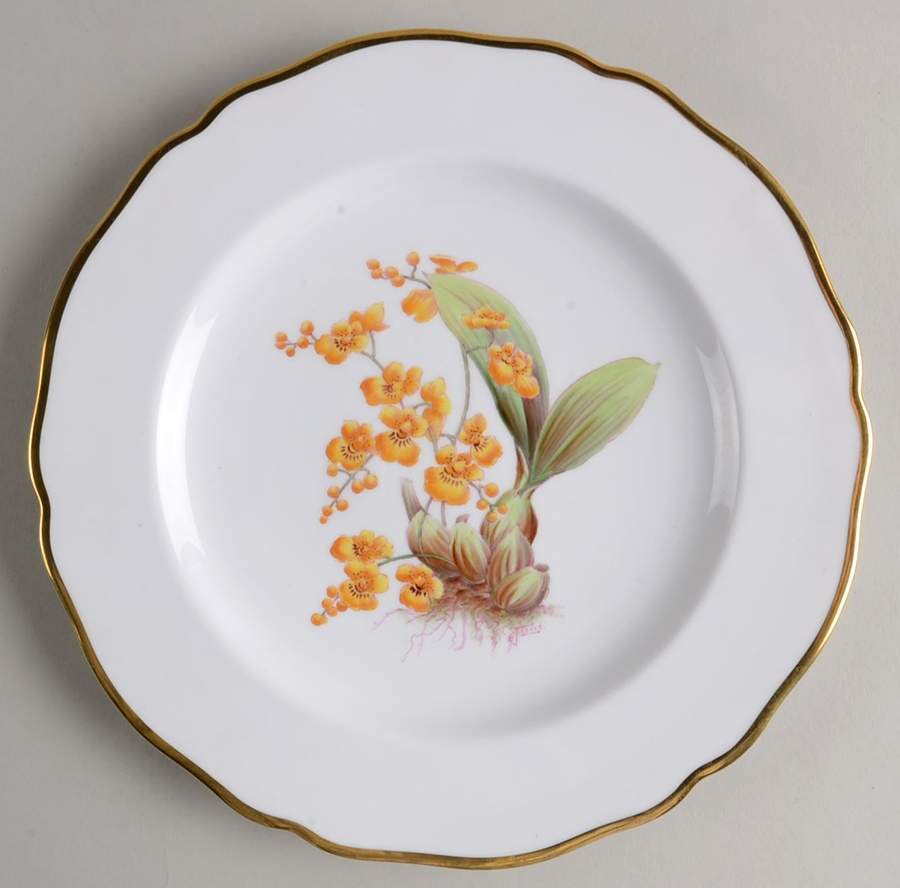 Y5552 (Scalloped) Luncheon Plate by Spode-1