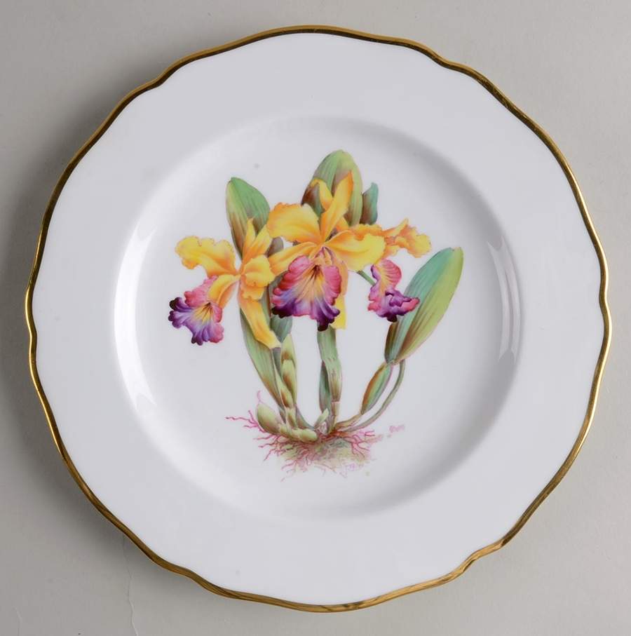 Y5552 (Scalloped) Luncheon Plate by Spode-1