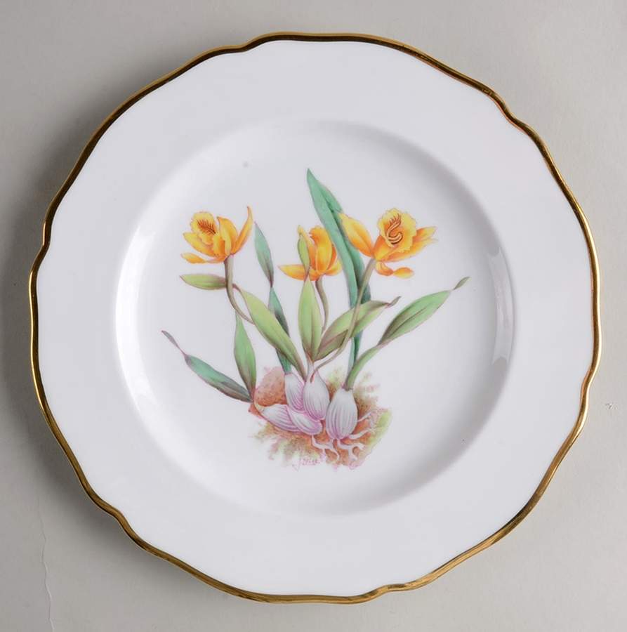 Y5552 (Scalloped) Luncheon Plate by Spode-1
