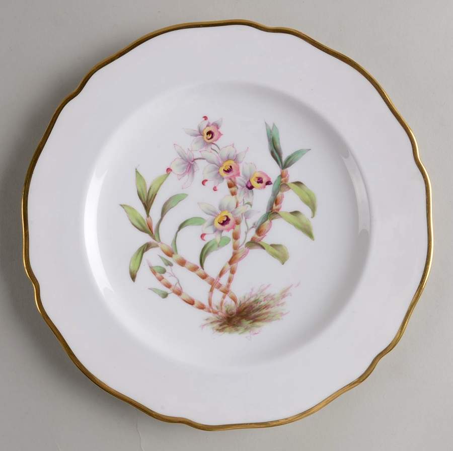 Y5552 (Scalloped) Luncheon Plate by Spode-1