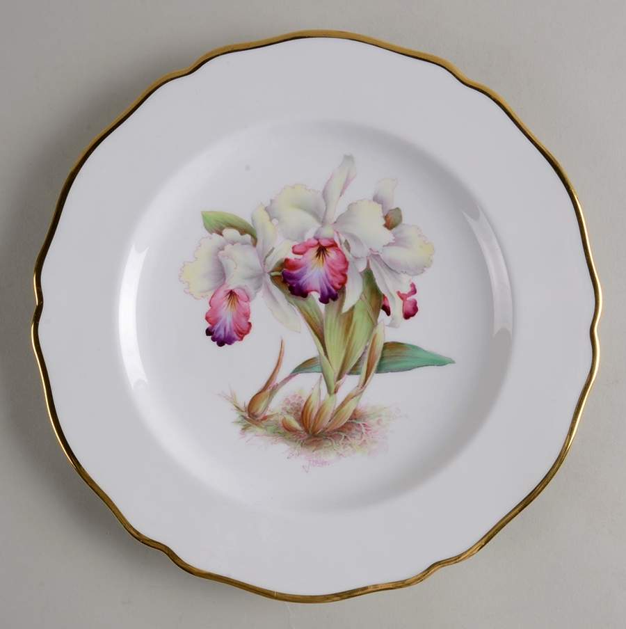 Y5552 (Scalloped) Luncheon Plate by Spode-1