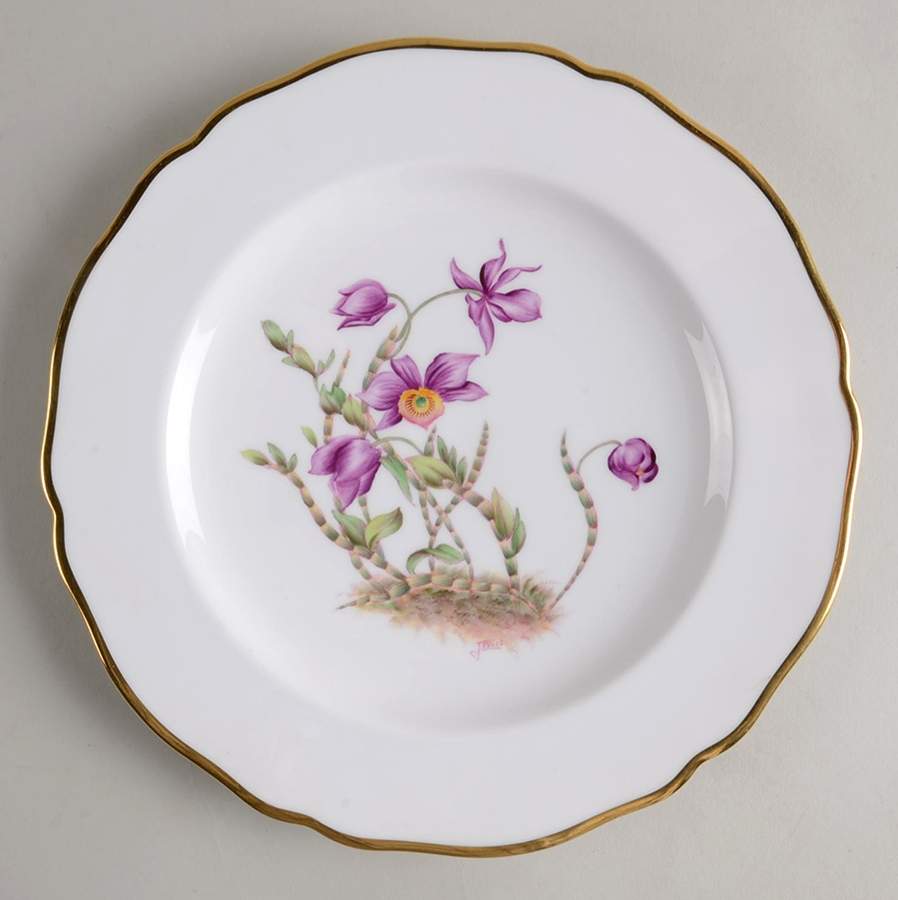 Y5552 (Scalloped) Luncheon Plate by Spode-1