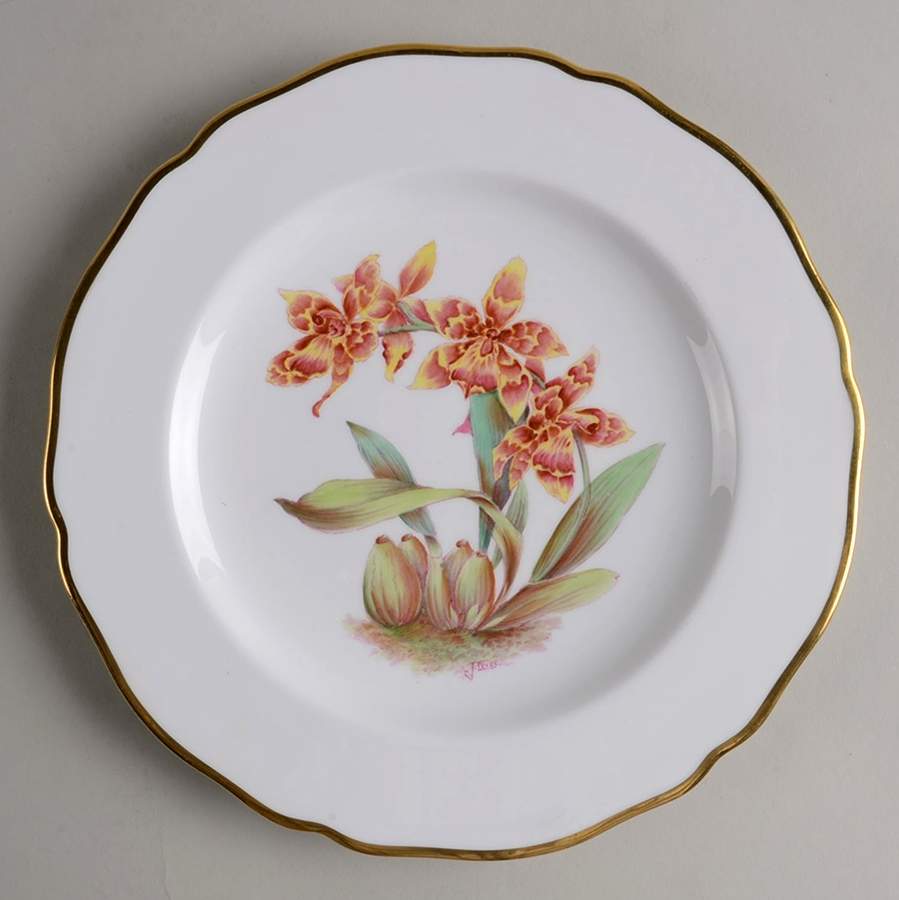 Y5552 (Scalloped) Luncheon Plate by Spode-1