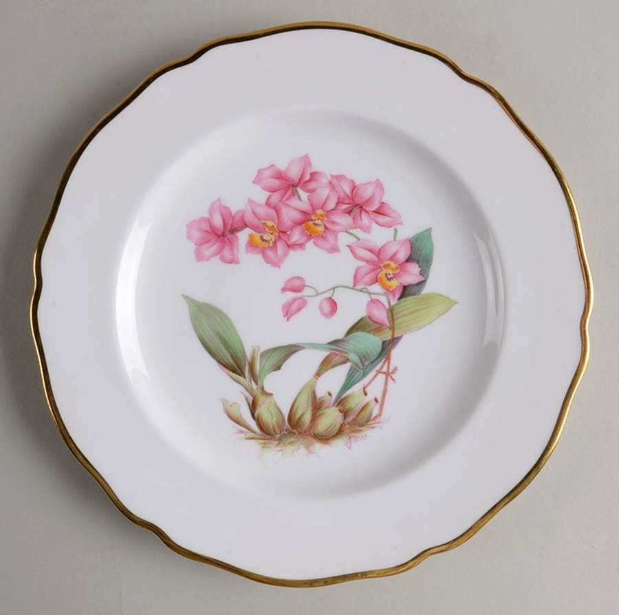 Y5552 (Scalloped) Luncheon Plate by Spode-1