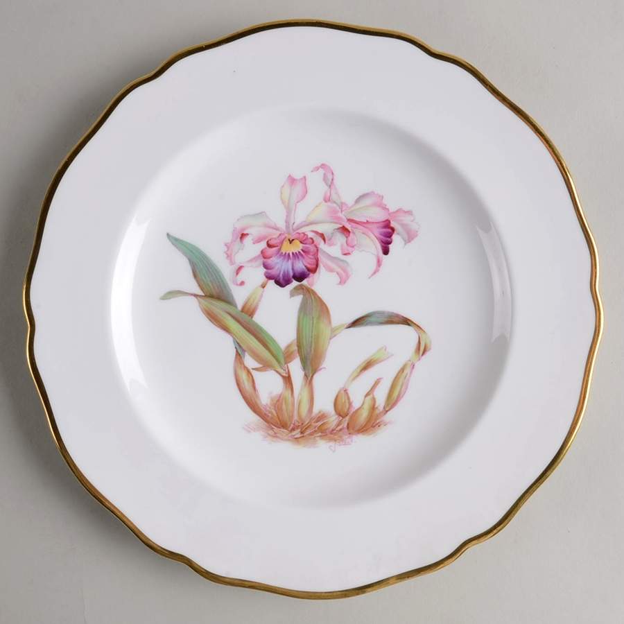 Y5552 (Scalloped) Luncheon Plate by Spode-1