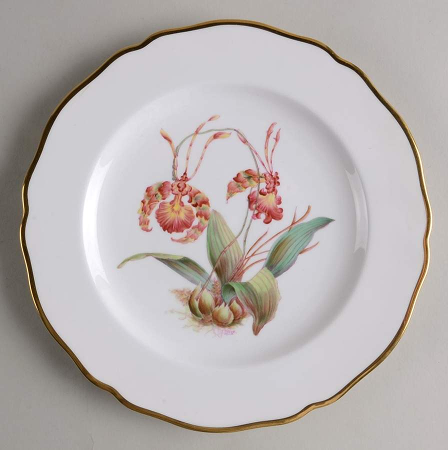 Y5552 (Scalloped) Luncheon Plate by Spode-1