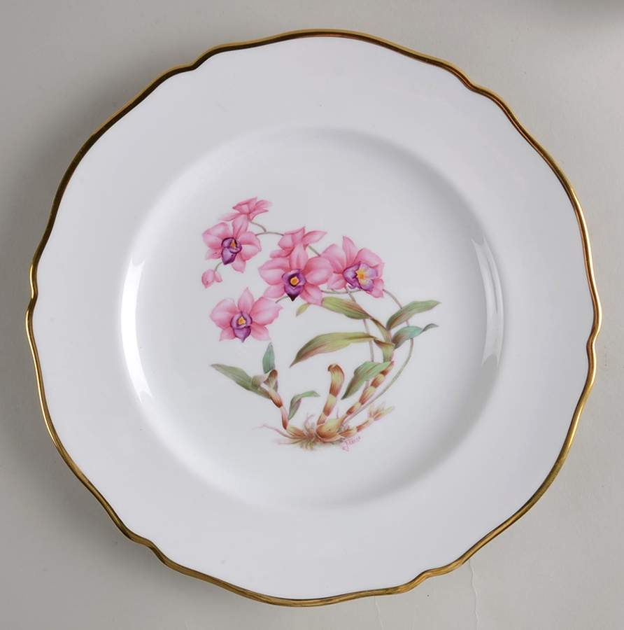 Y5552 (Scalloped) Dinner Plate by Spode-1