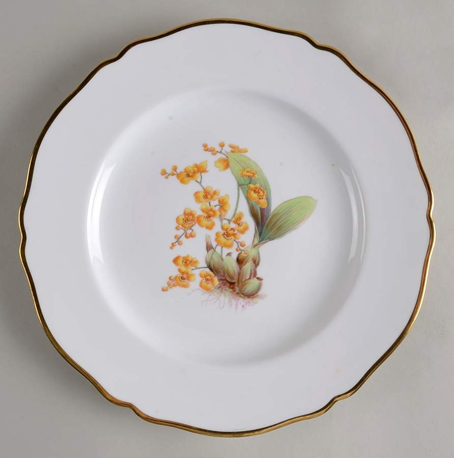 Y5552 (Scalloped) Dinner Plate by Spode-1