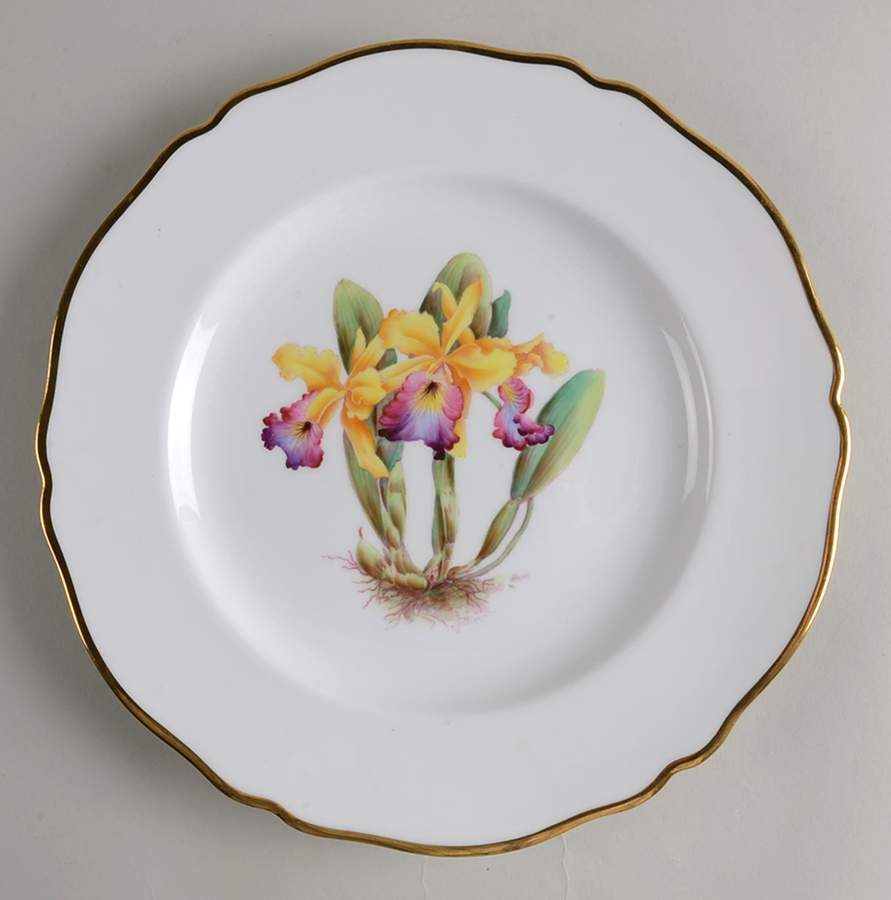 Y5552 (Scalloped) Dinner Plate by Spode-1