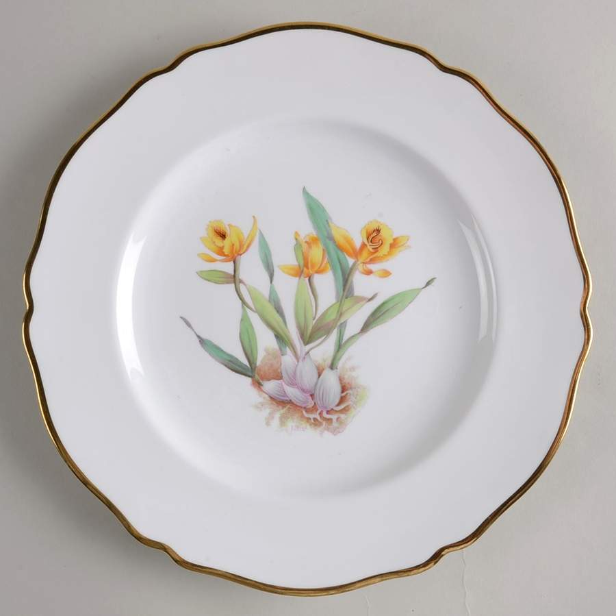 Y5552 (Scalloped) Dinner Plate by Spode-1