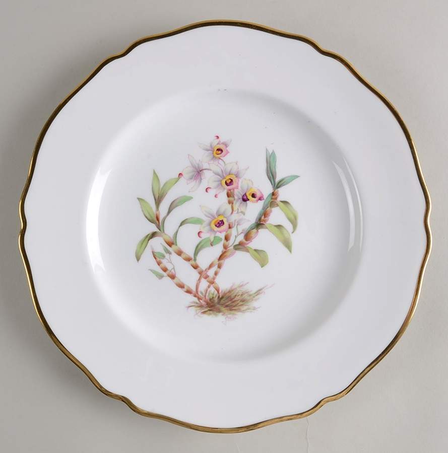 Y5552 (Scalloped) Dinner Plate by Spode-1