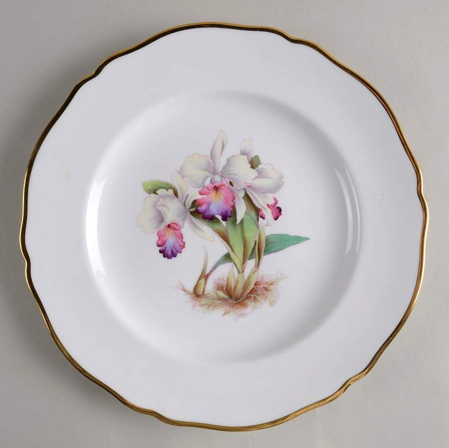 Y5552 (Scalloped) Dinner Plate by Spode-1
