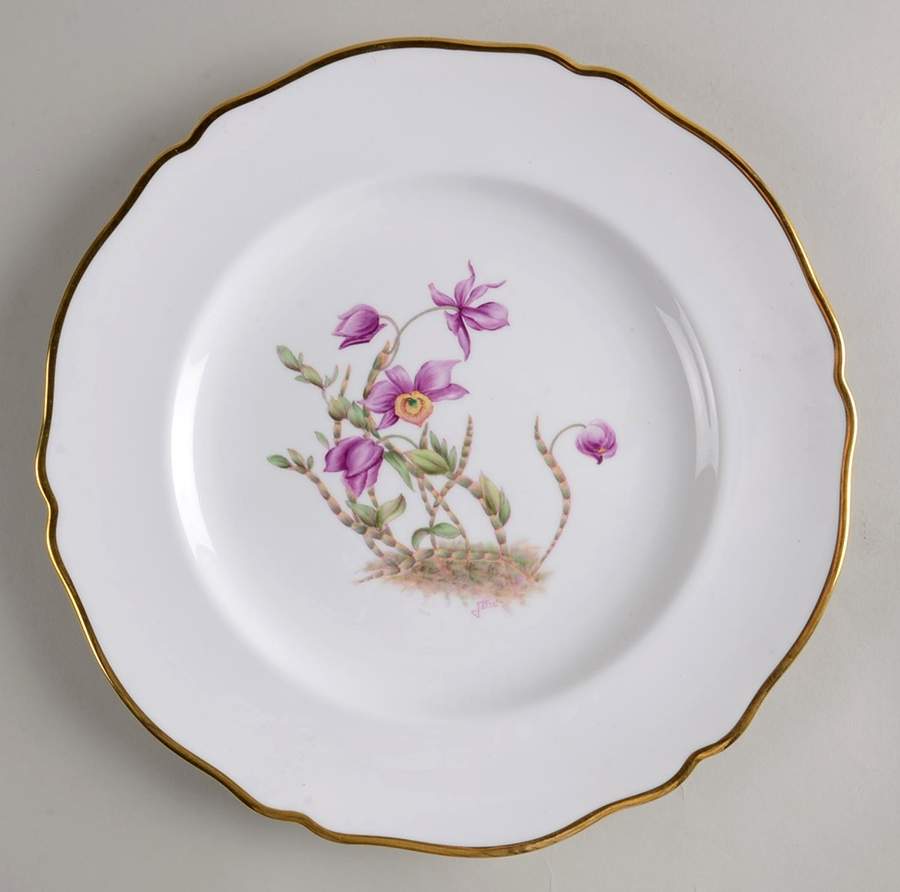Y5552 (Scalloped) Dinner Plate by Spode-1
