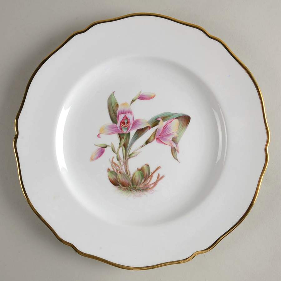 Y5552 (Scalloped) Dinner Plate by Spode-1