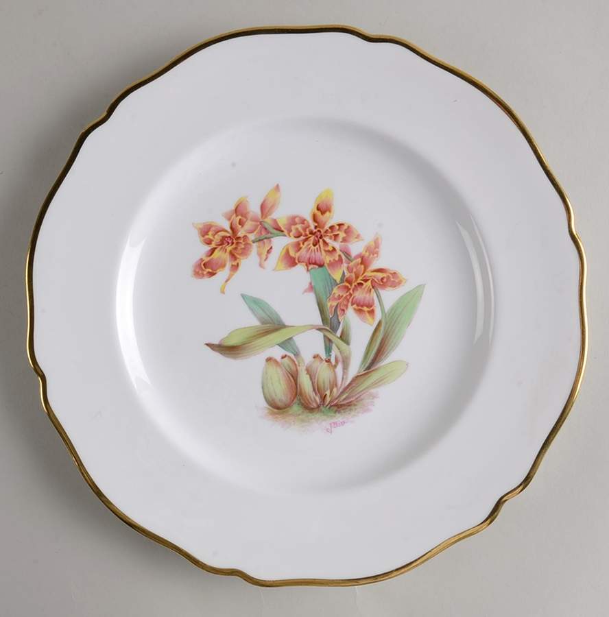 Y5552 (Scalloped) Dinner Plate by Spode-1