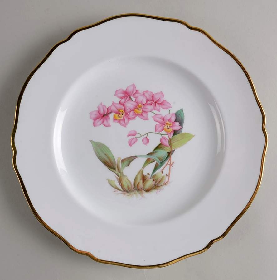 Y5552 (Scalloped) Dinner Plate by Spode-1