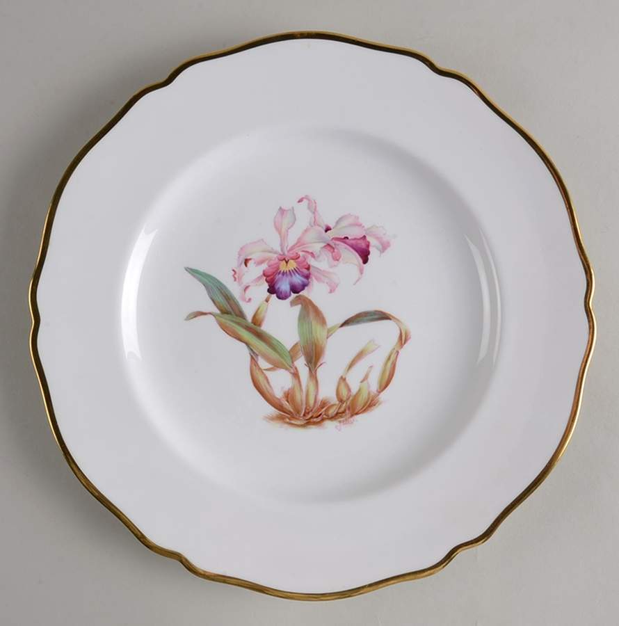 Y5552 (Scalloped) Dinner Plate by Spode-1