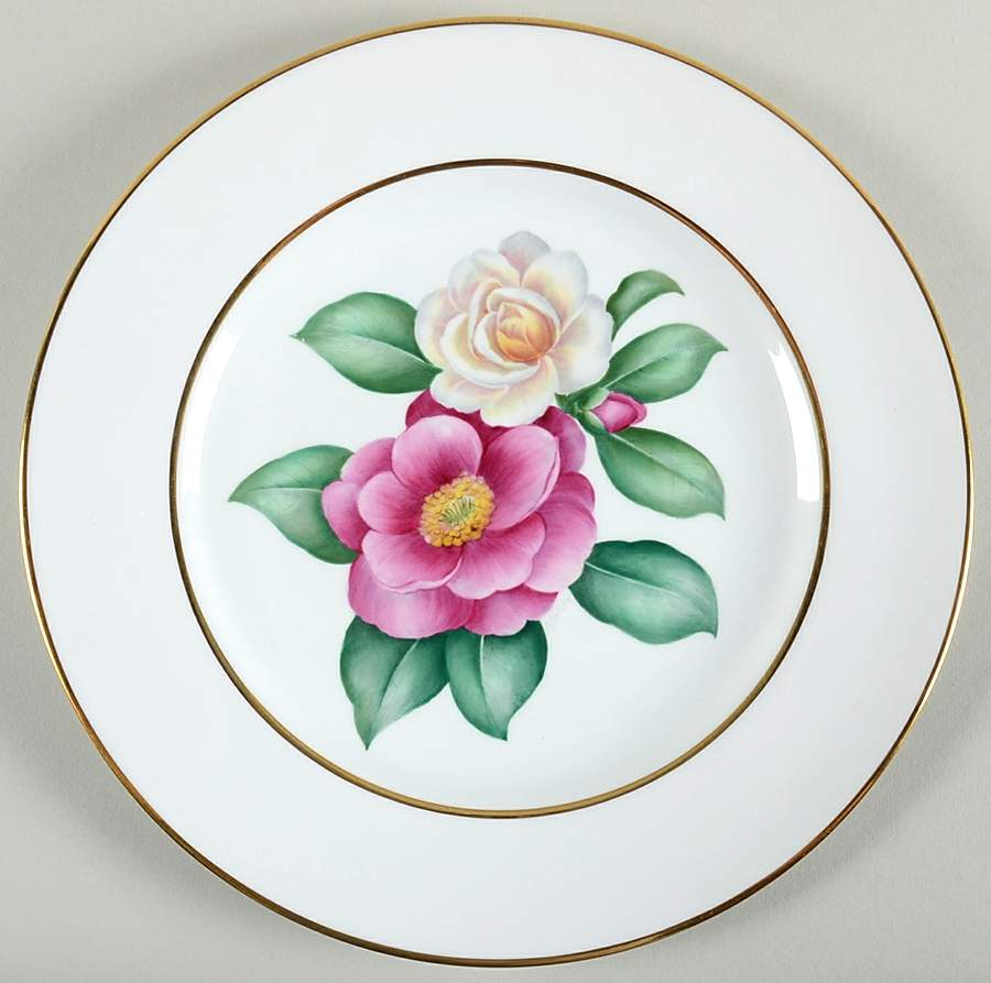 Y6059 Dinner Plate by Spode-1