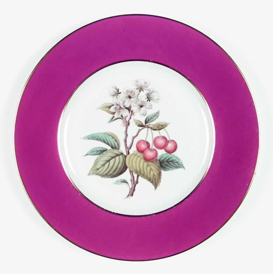 Y6236 Dinner Plate by Spode-1