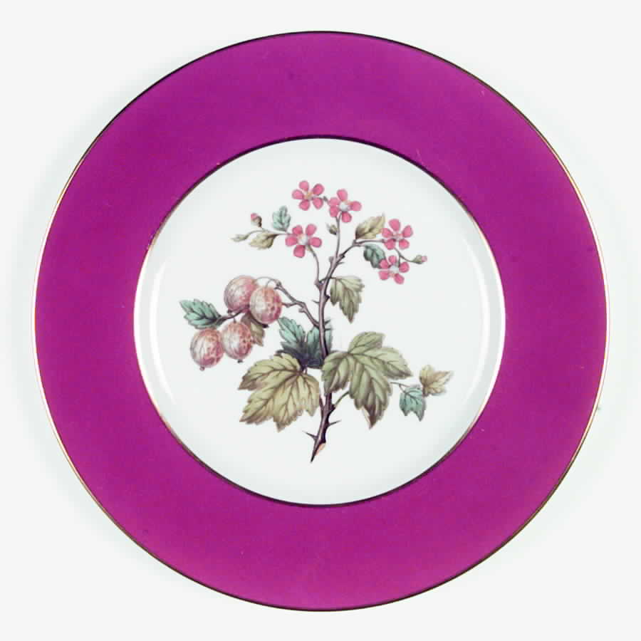 Y6236 Dinner Plate by Spode-1