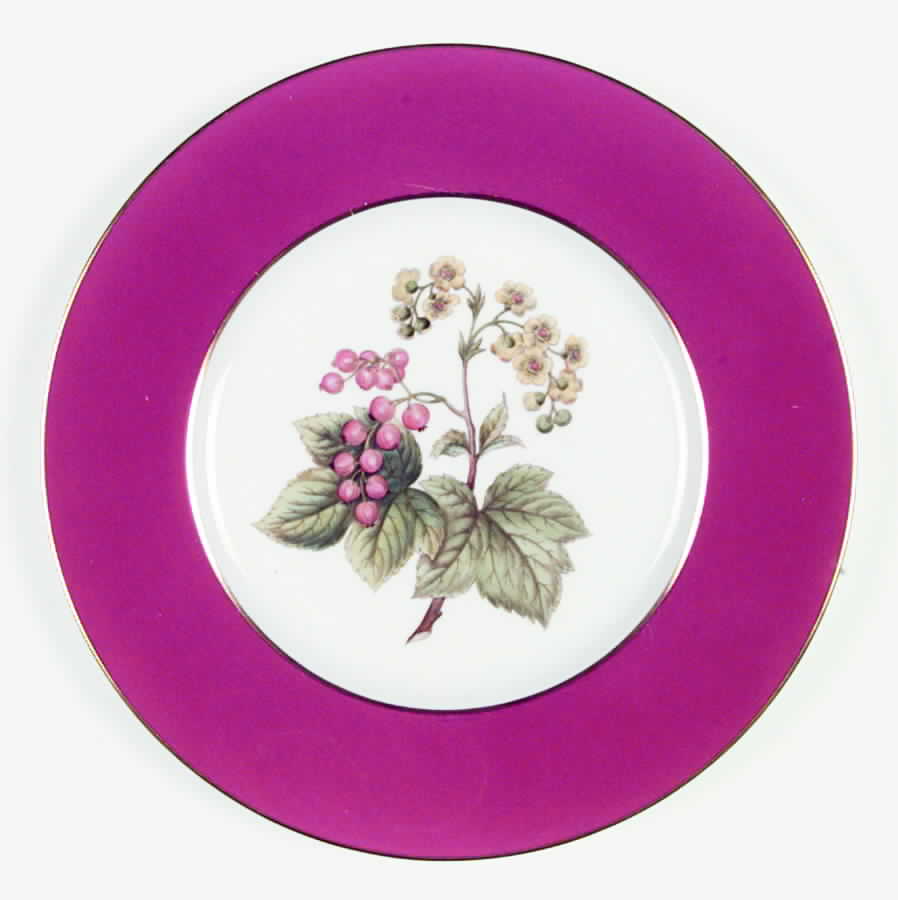 Y6236 Dinner Plate by Spode-1