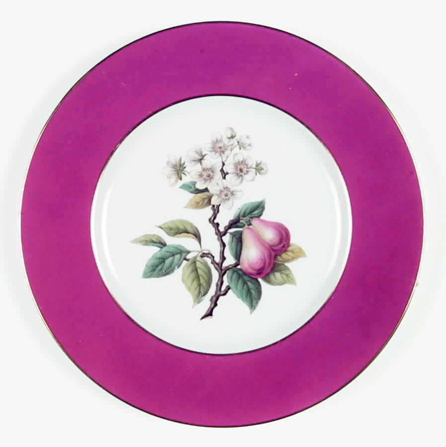 Y6236 Dinner Plate by Spode-1