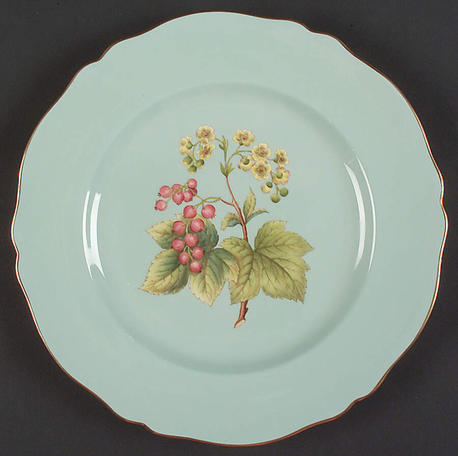 Y6630 Dinner Plate by Spode-1