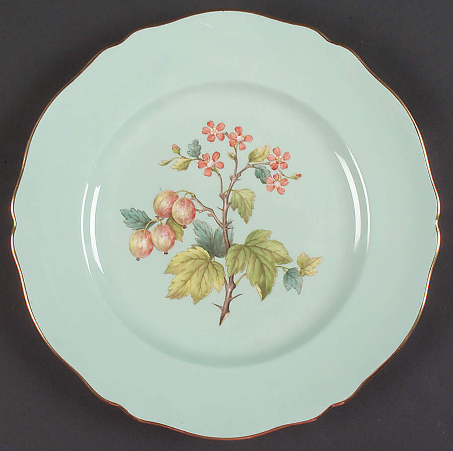 Y6630 Dinner Plate by Spode-1