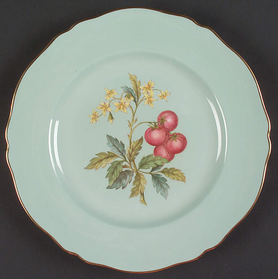 Y6630 Dinner Plate by Spode-1