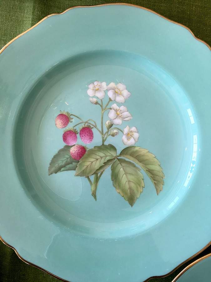 Y6630 Dinner Plate by Spode-1